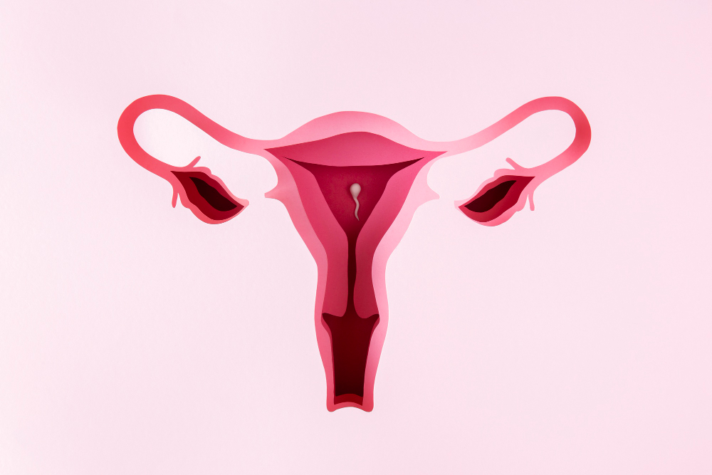 Thin Endometrium and Infertility: Causes, Symptoms, Diagnosis, and Treatment